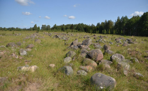 6. Kulalių skaldyklos akmenynas.jpg